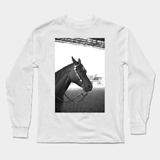 Beautiful horse Long Sleeve T-Shirt